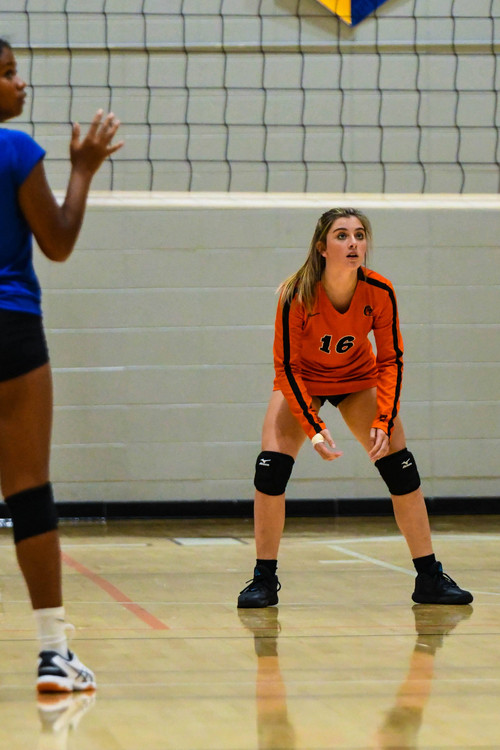 Williams Bay Volleyball Pictures - Photo Number 15
