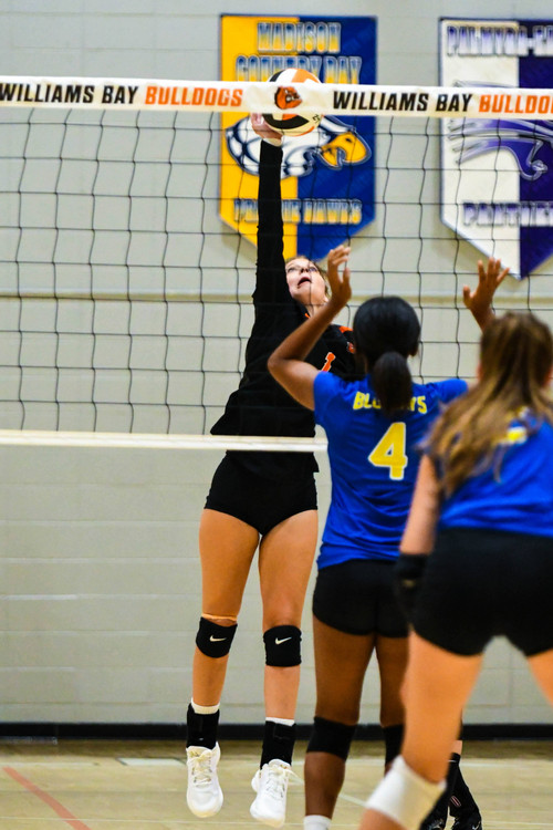 Williams Bay Volleyball Pictures - Photo Number 21